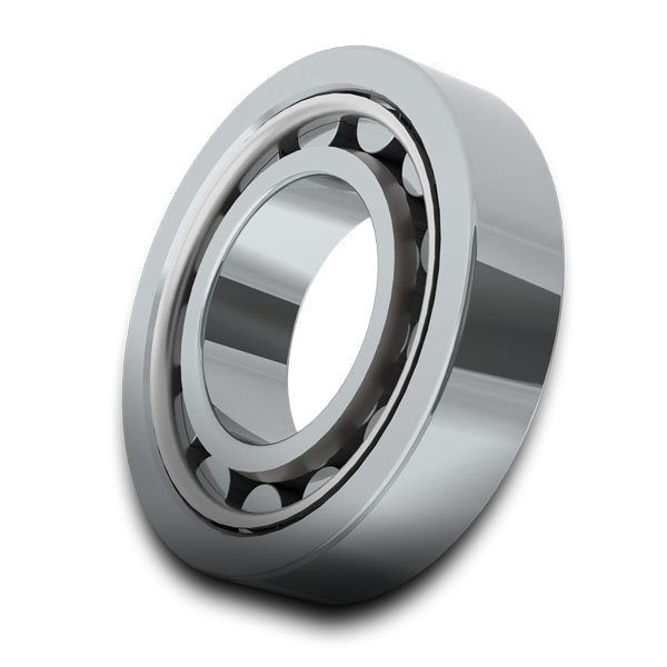 Cylindrical Roller Bearing - Metric